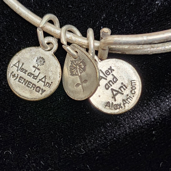2 for $15 | ALEX AND ANI | Silver inspirational bracelet - Picture 4 of 4